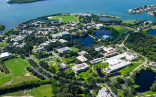 لغة إنجليزية مكثفة