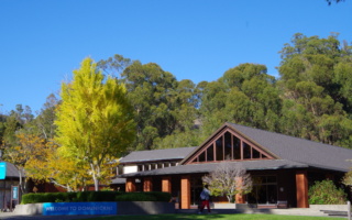 لغة إنجليزية مكثفة